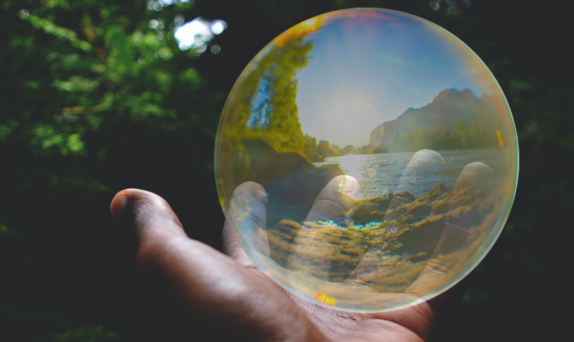 Hand holding globe with landscape inside logo